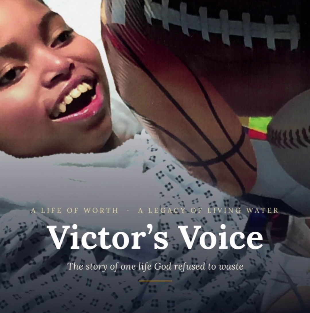 Victor's Voice book cover